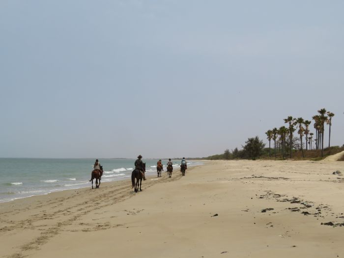 Senegal-Ritte und Reittour: Savanne & Strand