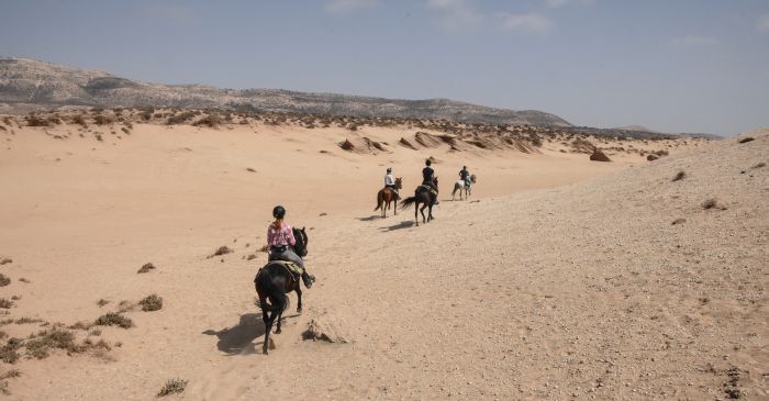 Essaouira Küsten Trail & Taghazoute Strand