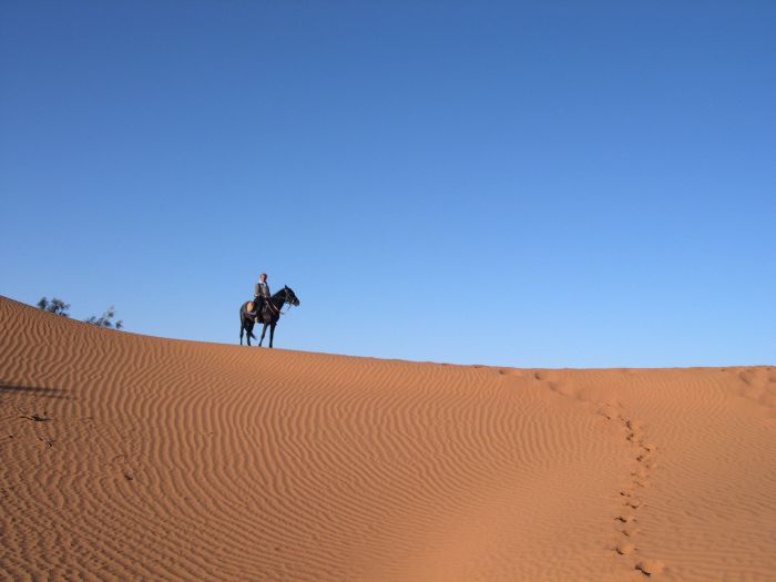 Sahara Wüsten Ritt