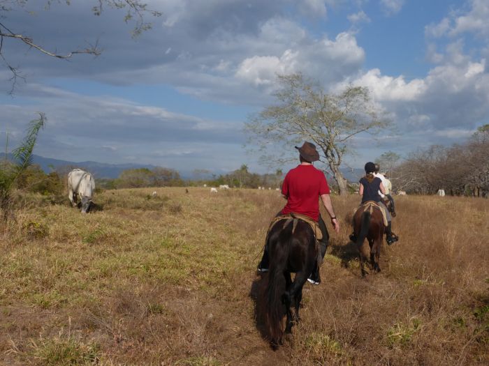 Von Küste zu Küste in Costa Rica