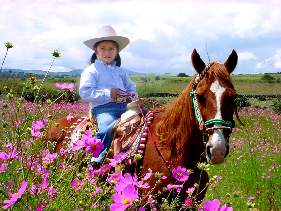 Rancho Mexicana