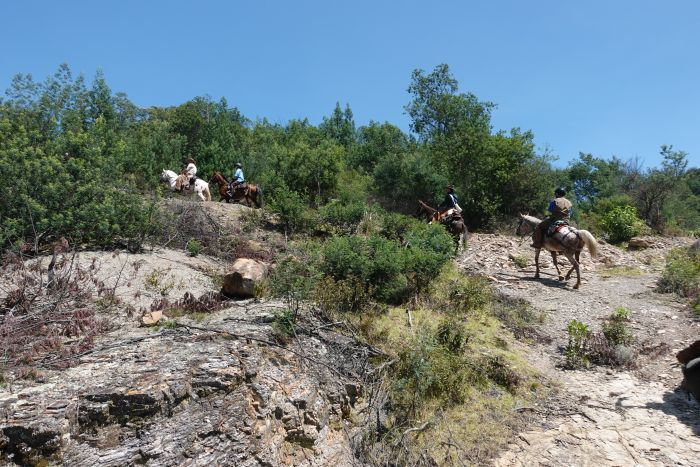 Kolumbien Hacienda Trail