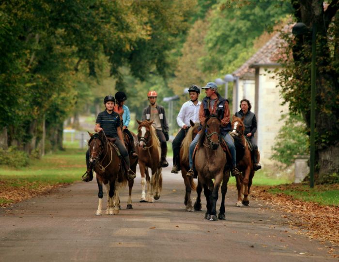 Naturpark Burgund im Galopp