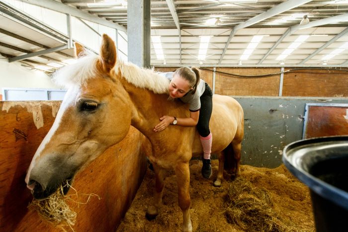 Englisch Lernen und Reiten für Jugendliche