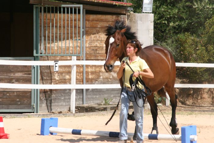 Horsemanship an der Costa Smeralda