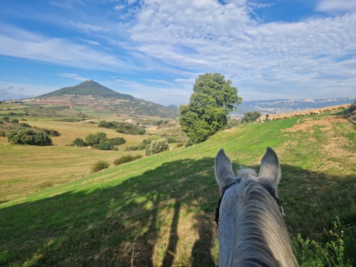 Camino de Santiago - Wanderritt auf dem Jakobsweg