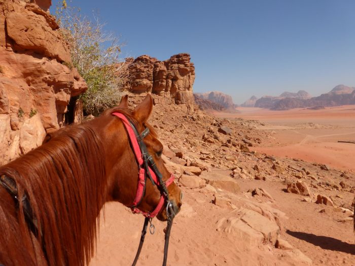 Wadi Rum - die spektakulärste Wüste der Welt