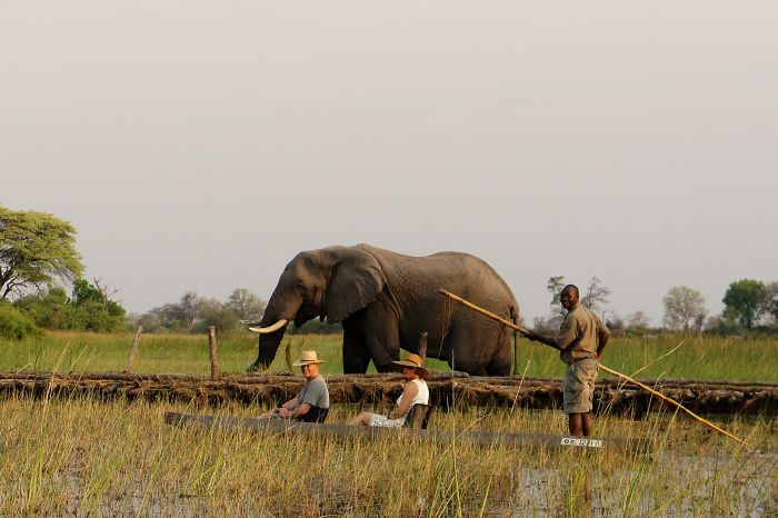 Best of Botswana - Kombi-Reitsafari Tuli und Okavango