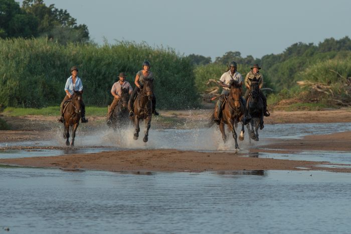 Best of Botswana - Kombi-Reitsafari Tuli und Okavango