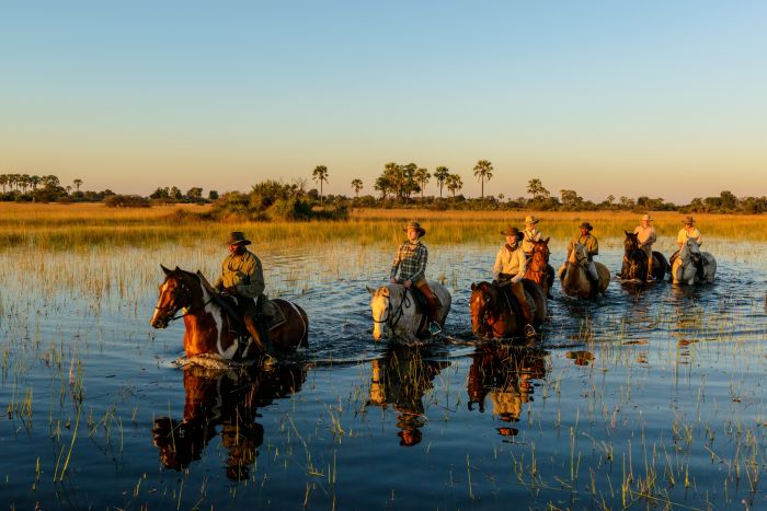 Pferdesafari Okavango Delta, Botswana