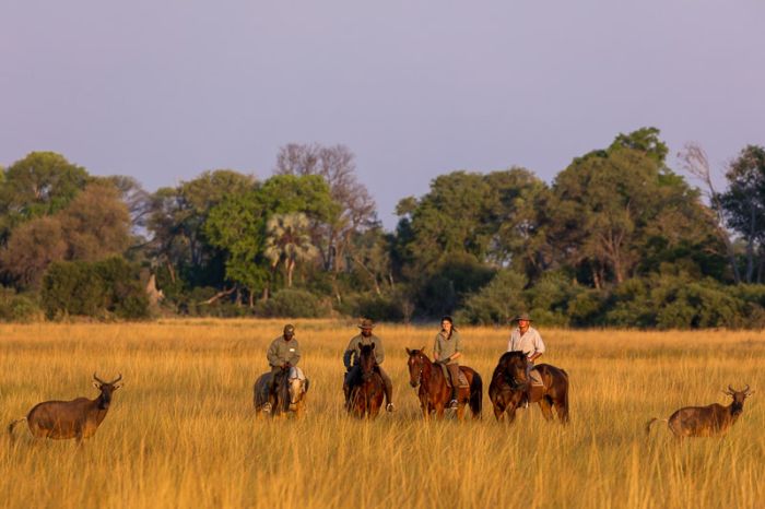 Pferdesafari Okavango Delta, Botswana