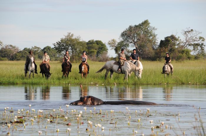 Pferdesafari Okavango Delta, Botswana