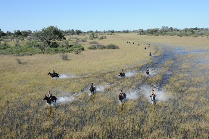 Pferdesafari Okavango Delta, Botswana