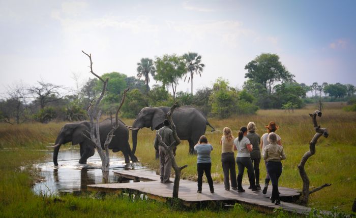 Pferdesafari Okavango Delta, Botswana