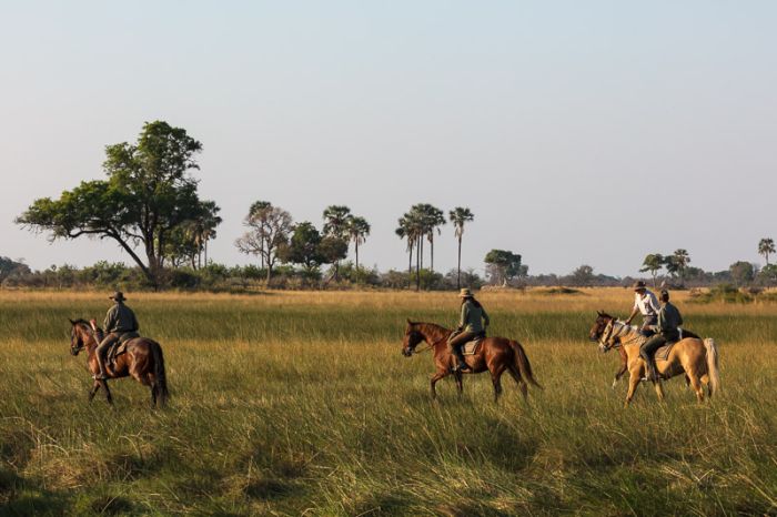 Pferdesafari Okavango Delta, Botswana