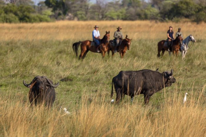 Pferdesafari Okavango Delta, Botswana