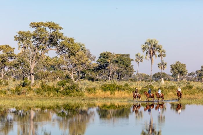 Pferdesafari Okavango Delta, Botswana