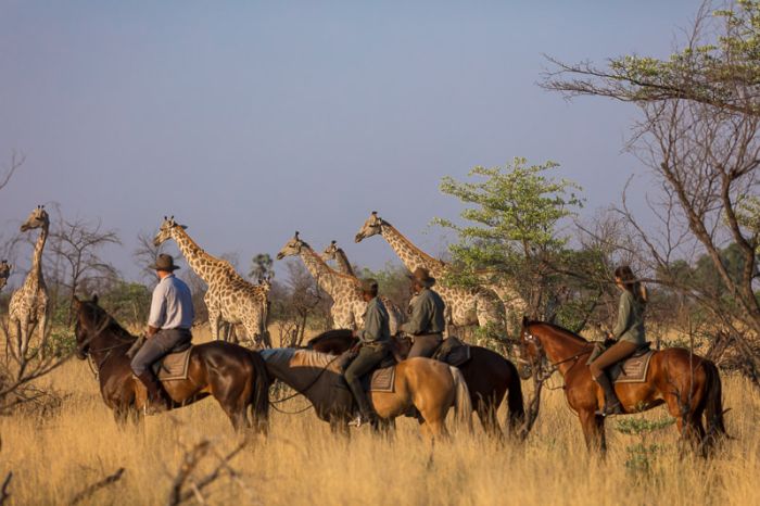 Pferdesafari Okavango Delta, Botswana