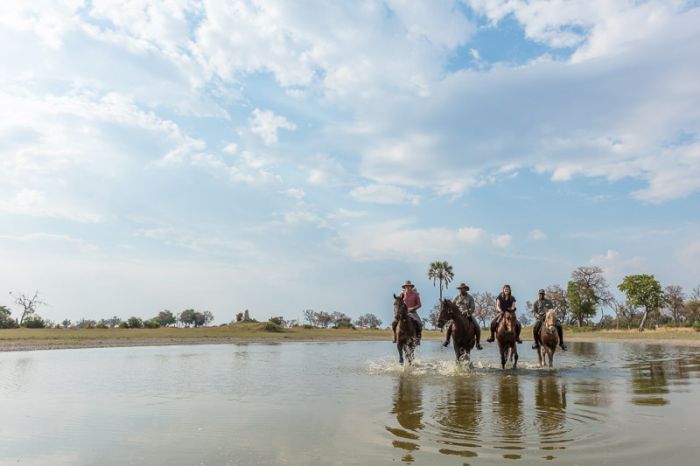 Pferdesafari Okavango Delta, Botswana