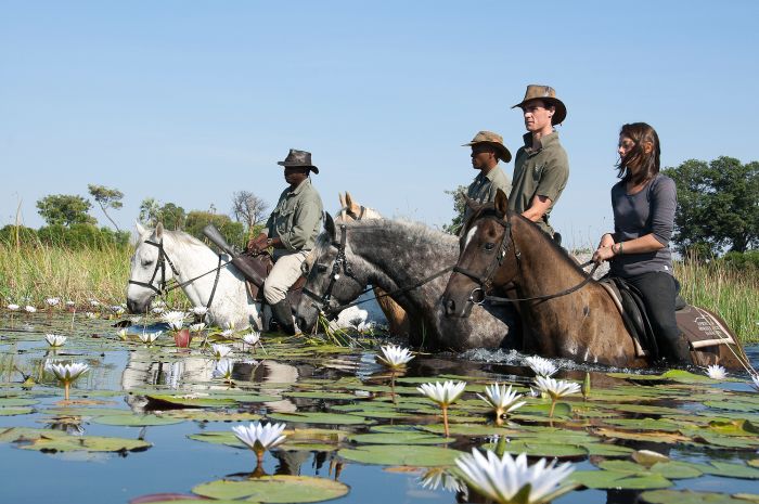 Pferdesafari Okavango Delta, Botswana