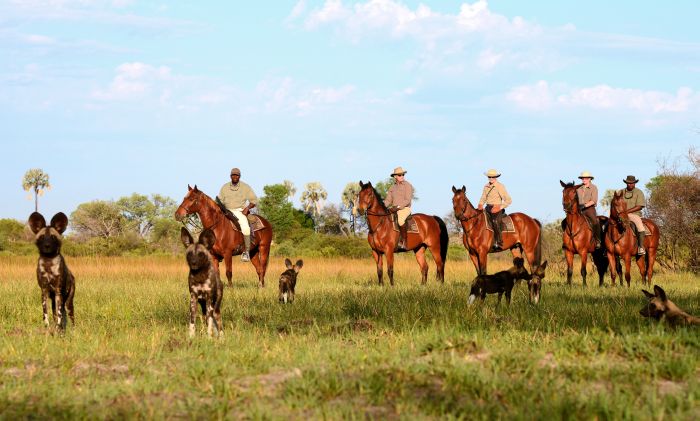 Pferdesafari Okavango Delta, Botswana