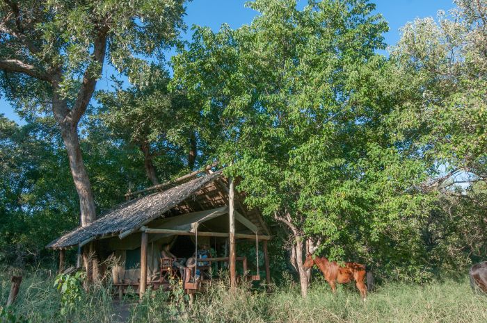 Land der Giganten - Tuli Reitsafari Botswana Unterkunft