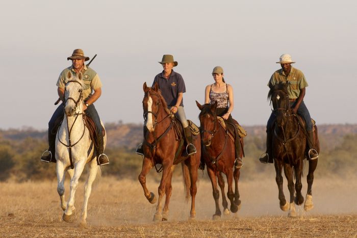 Land der Giganten - Tuli Reitsafari Botswana