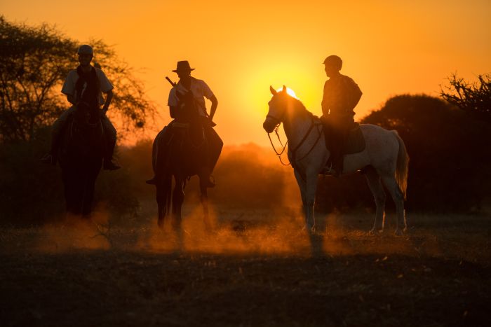 Land der Giganten - Tuli Reitsafari Botswana