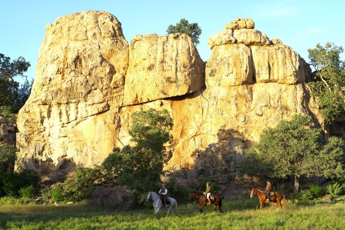 Land der Giganten - Tuli Reitsafari Botswana