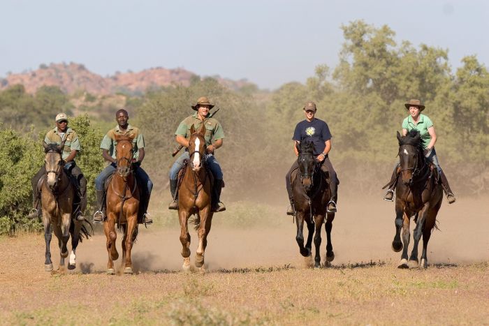 Land der Giganten - Tuli Reitsafari Botswana