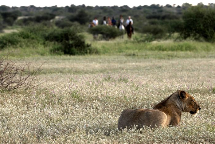 Land der Giganten - Tuli Reitsafari Botswana