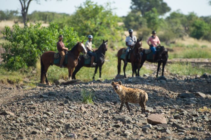 Land der Giganten - Tuli Reitsafari Botswana