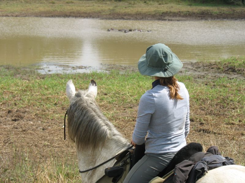 Ubuntu Abenteuertrail