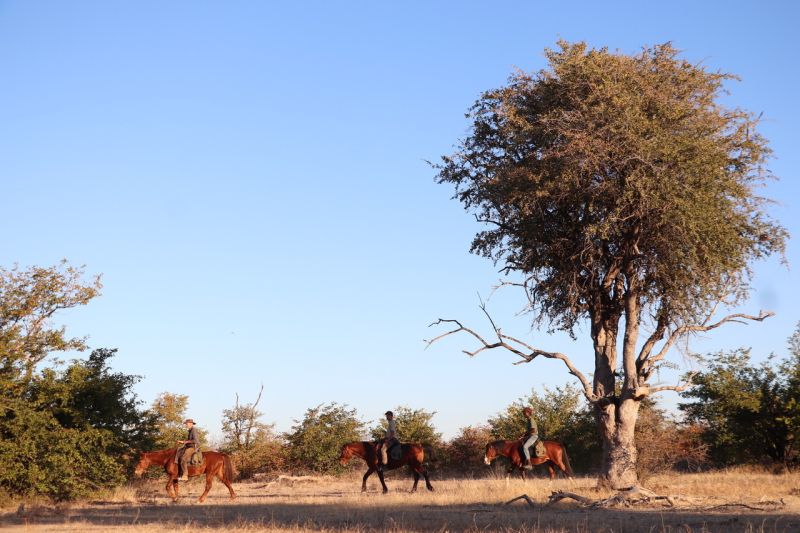 Ubuntu Abenteuertrail