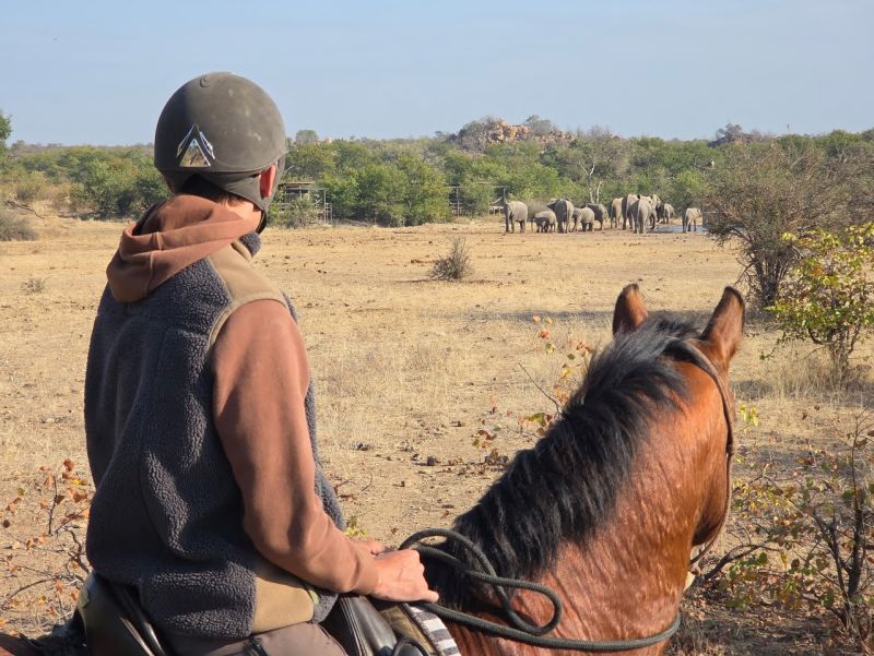 Ubuntu Abenteuertrail
