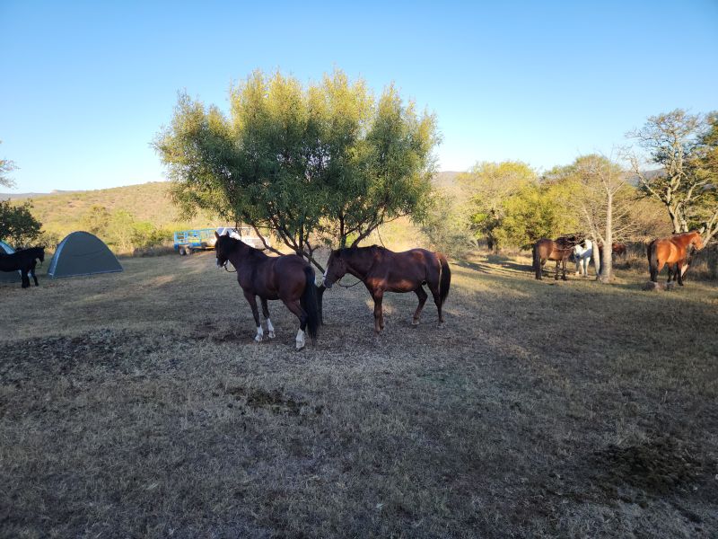 Ubuntu Abenteuertrail