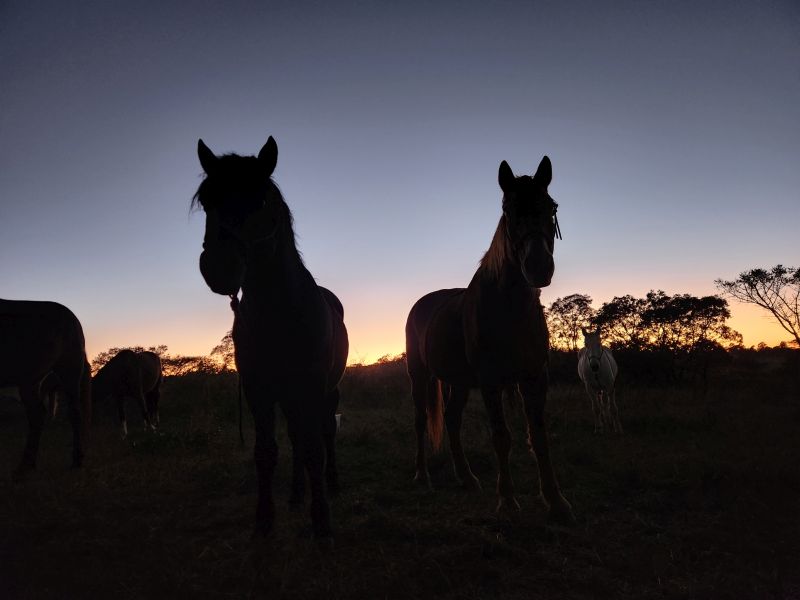 Ubuntu Abenteuertrail