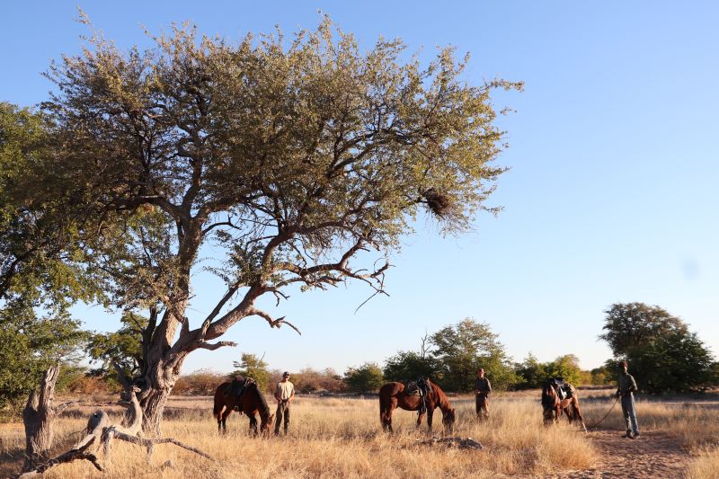 Ubuntu Abenteuertrail