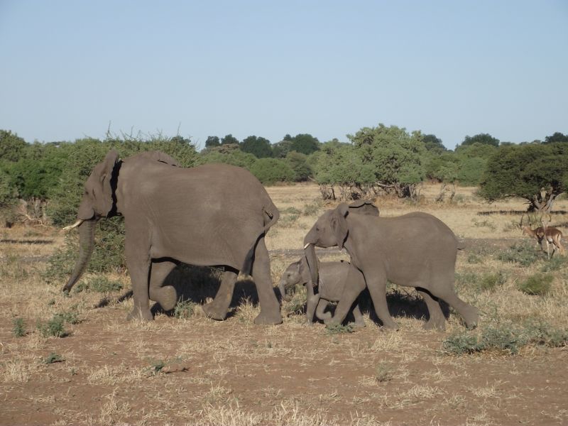 Ubuntu Abenteuertrail