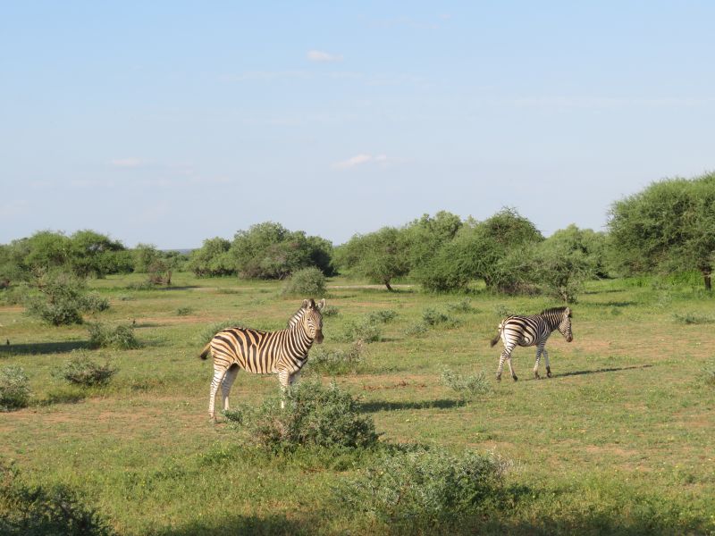 Ubuntu Abenteuertrail