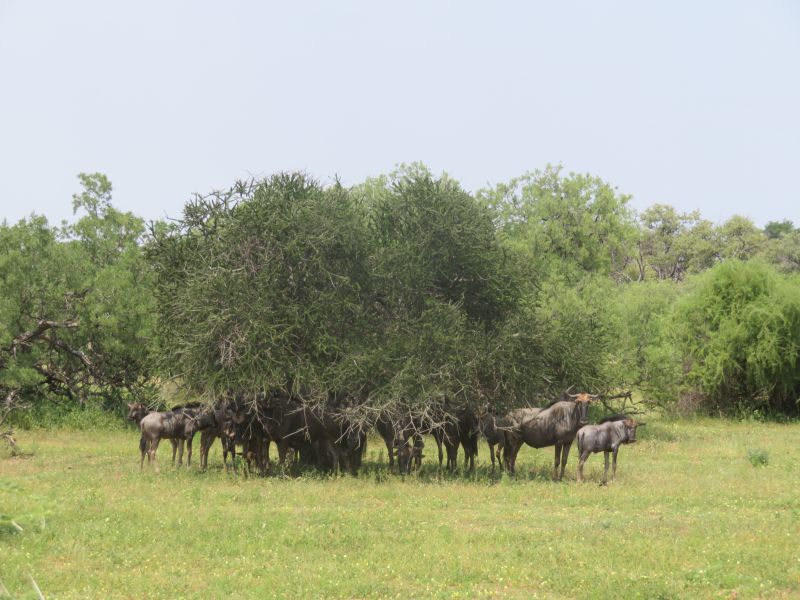 Ubuntu Abenteuertrail