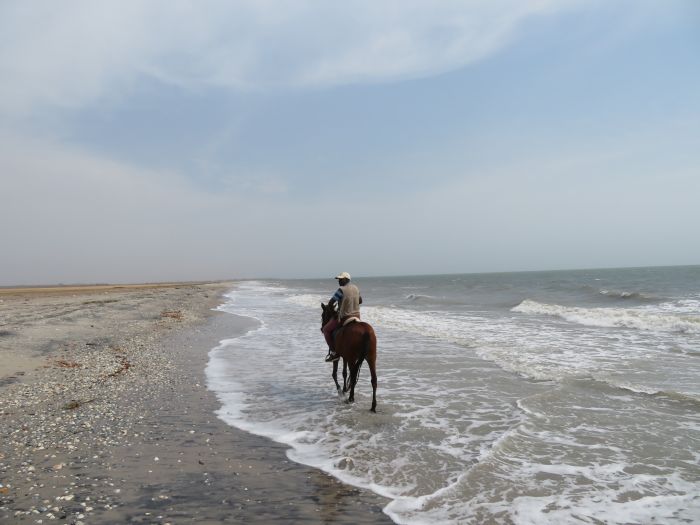 Senegal-Ritte und Reittour: Savanne & Strand