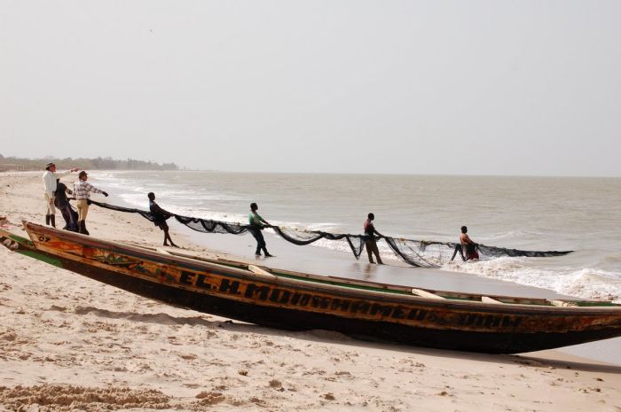 Senegal-Ritte und Reittour: Savanne & Strand