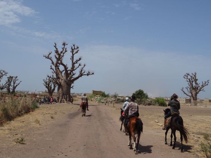 Senegal-Ritte und Reittour: Savanne & Strand