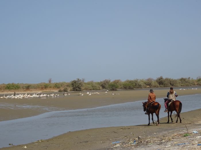 Senegal-Ritte und Reittour: Savanne & Strand