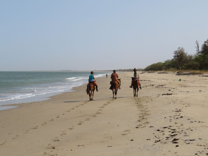 Senegal-Ritte und Reittour: Savanne & Strand