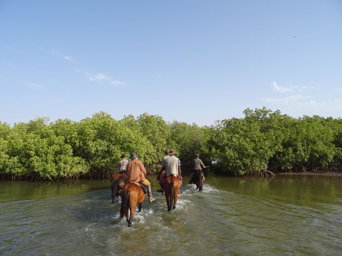 Senegal-Ritte und Reittour: Savanne & Strand