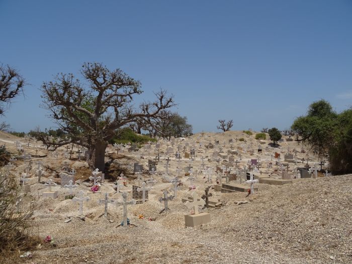 Senegal-Ritte und Reittour: Savanne & Strand