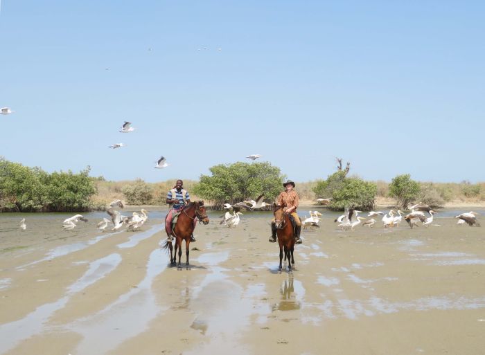 Senegal-Ritte und Reittour: Savanne & Strand