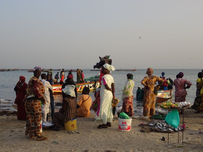 Senegal-Ritte und Reittour: Savanne & Strand